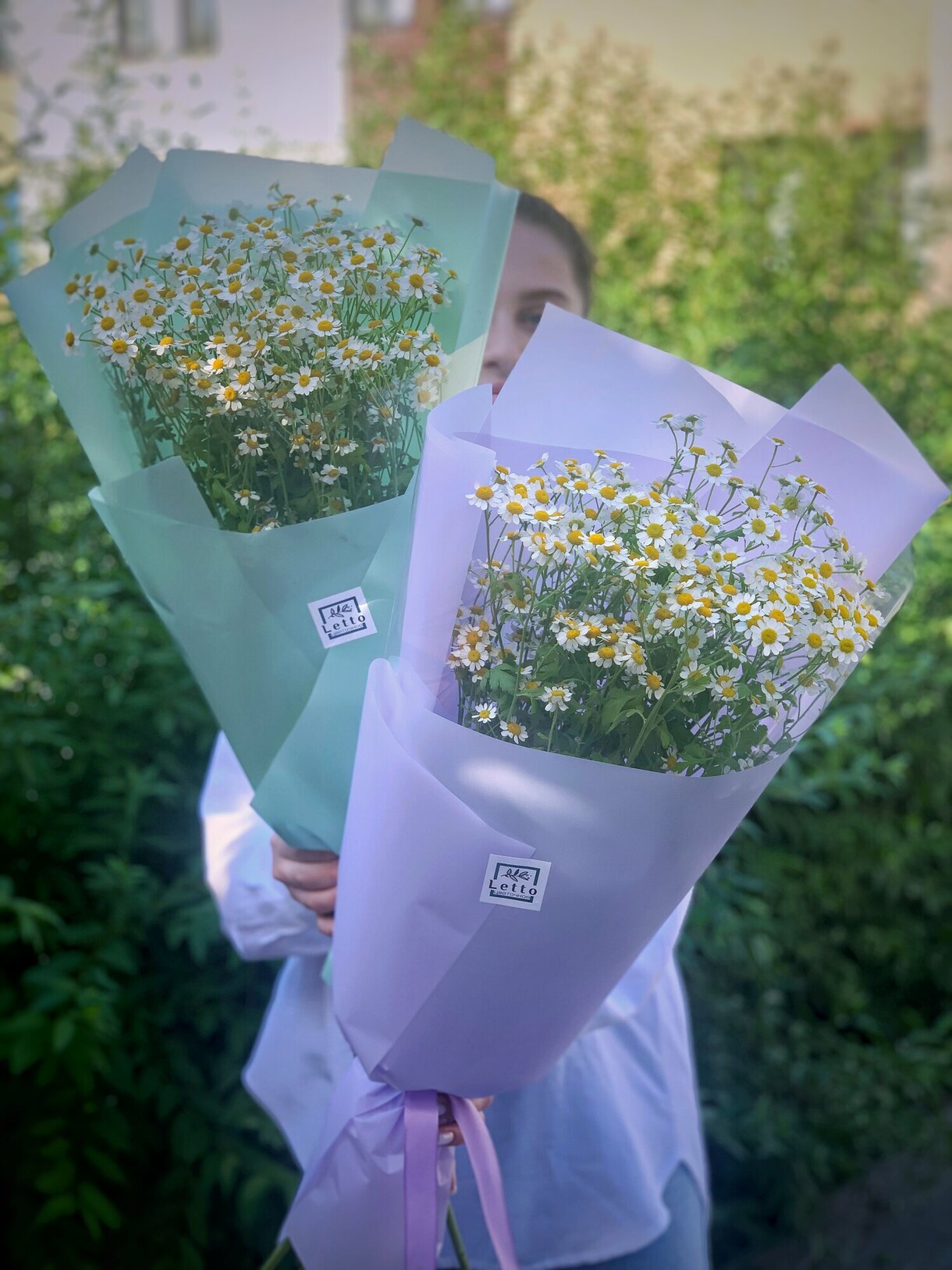 Кустовая ромашка