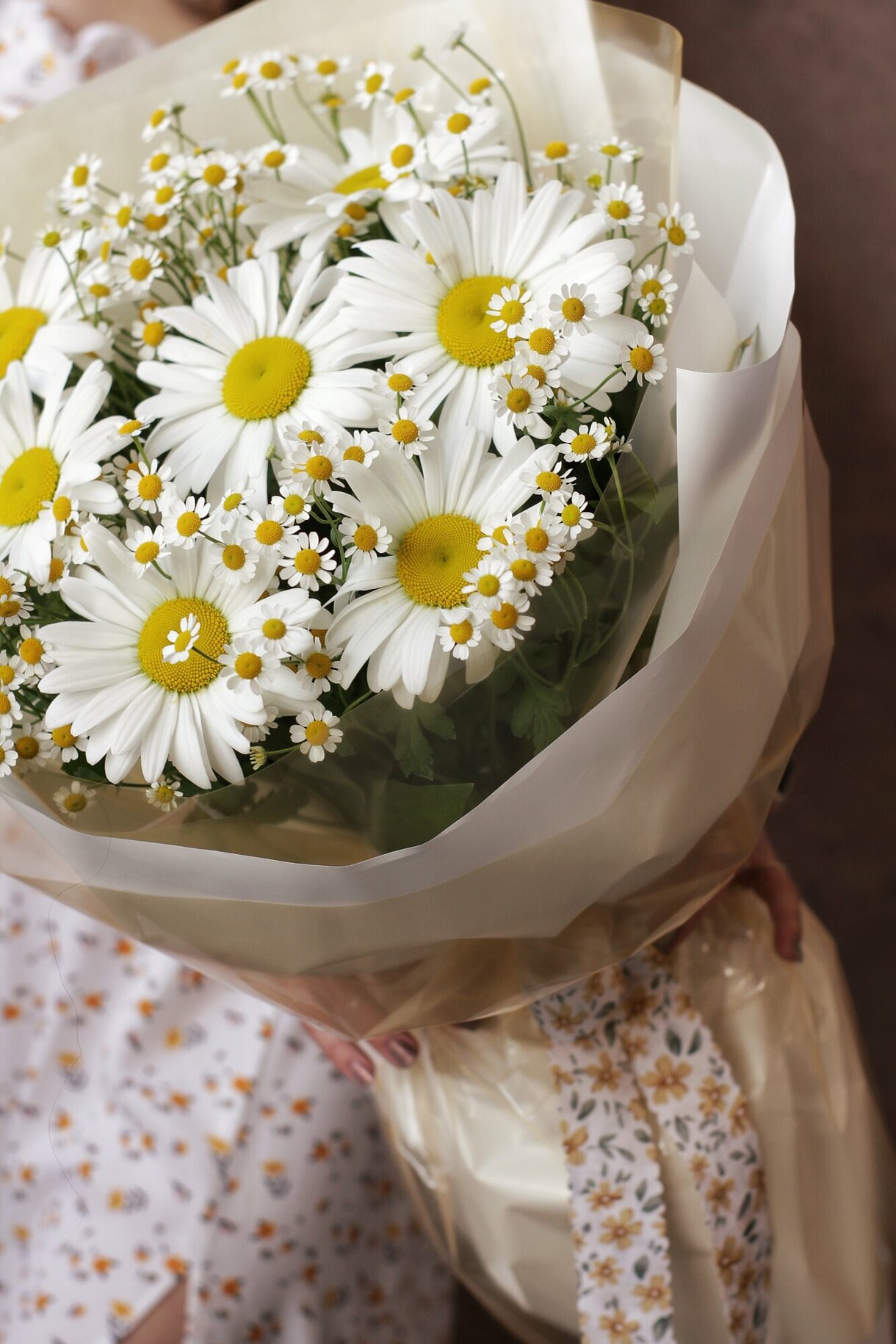 Лето, ромашки и любов